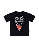 Kmy Kmo Kidz - Image 6